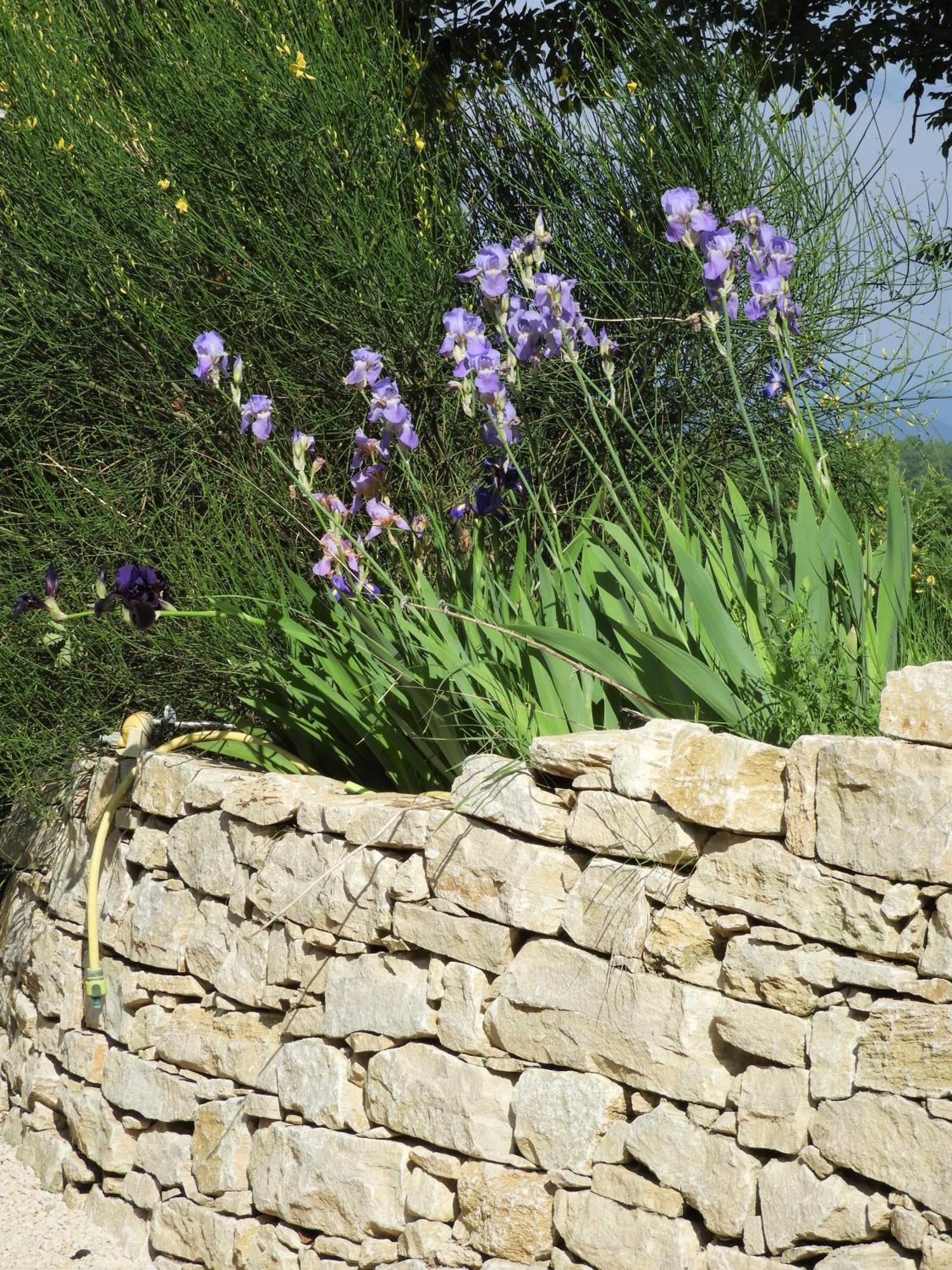 Pont-de-Barret Les Beaux Chenes 빌라 외부 사진