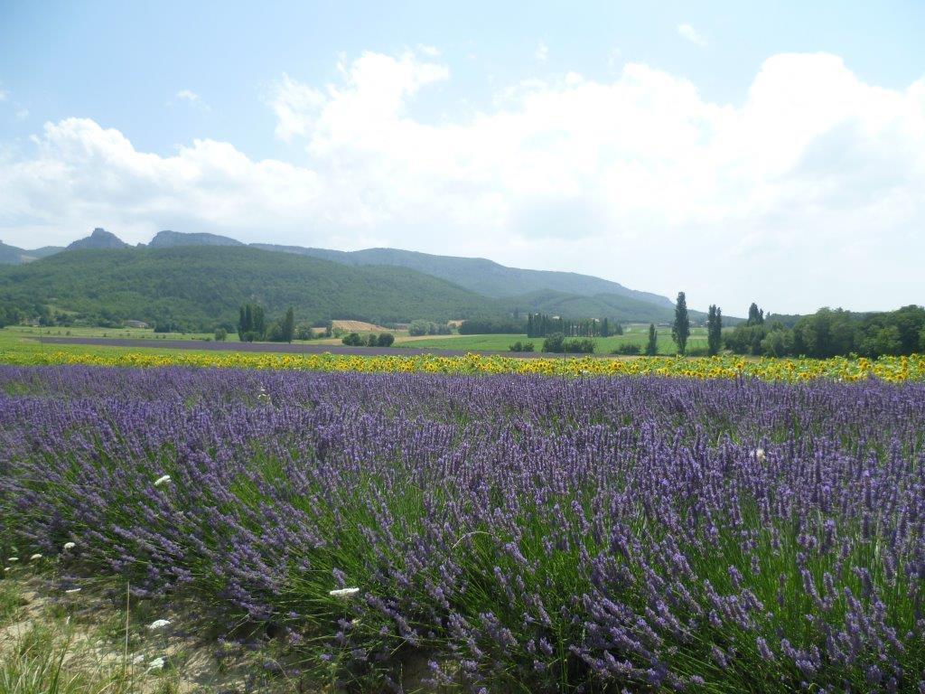 Pont-de-Barret Les Beaux Chenes 빌라 외부 사진